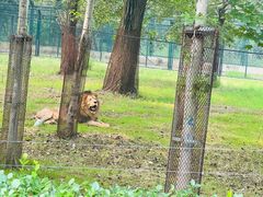 -秦皇岛野生动物园