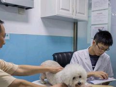 -皮特动物医院(24小时店)