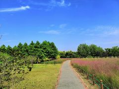 -南湖湿地公园