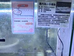 -上海大自然野生昆虫馆(东方明珠·爬宠昆虫探索中心)