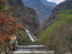 -陕西省红河谷森林公园