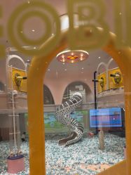 -奈尔宝家庭中心·亲子餐厅(鄞州万达店)