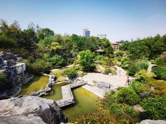 -上海吴淞炮台湾国家湿地公园