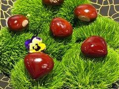 -鹿园 MOOSE(长宁店)