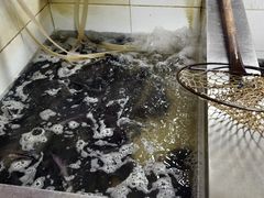 -都江堰石锅鱼