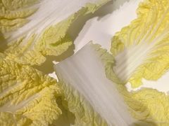 -南门四季铜锅涮肉(大屯·北苑店)