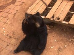 -昆明动物园