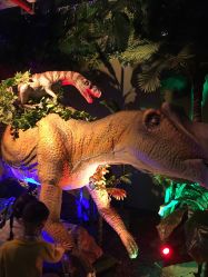 -恐龙探索乐园(磁器口店)