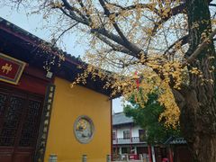 -上海青龙寺