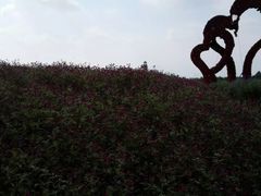 -紫颐香薰山谷景区
