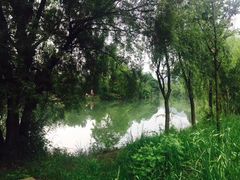 -贵阳市花溪国家城市湿地公园