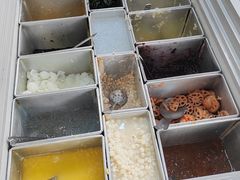-凉凉海石花