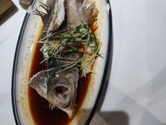 -大鸽饭(马王堆店)