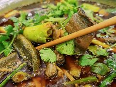 -高坎一品甲鱼庄(两河店)