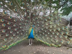 -意大利农场度假村