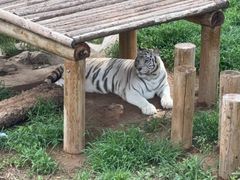 -石家庄市动物园