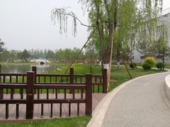-西海子公园