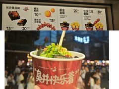 -黑色经典臭豆腐·湖南特产(坡子街店)