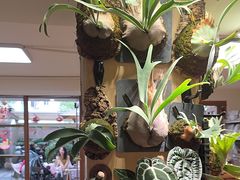 -本無咖啡·BeanWood Coffee