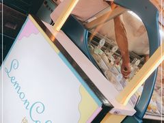 -柠檬车露(卖草地店)