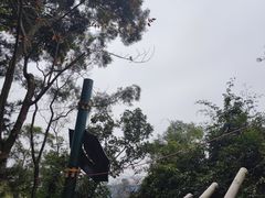 -芦仙山景区-飞越丛林探险乐园