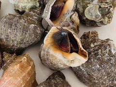 -四海鲜渔家菜(黄金海岸店)