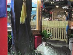 -老阿妈蒙古村·蒙古包·草原文化·歌舞表演(老君堂店)