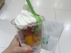 -三佰瑞冻酸奶(凯德MALL店)