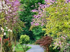 -桤木河湿地公园