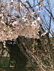 -Union瑜伽健康管理中心