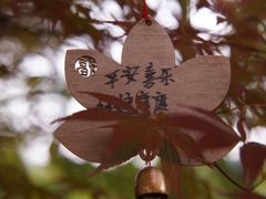 -兰亭风景区
