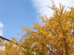 -辽宁大学(崇山校区)