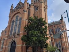 -上海佘山国家森林公园西佘山园