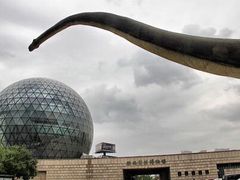 -陕西自然博物馆