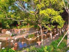 -大连森林动物园