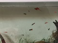 -小郭私房菜·海肠捞饭店(学士街店)