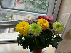 -慧享福养老机构(长寿路店)