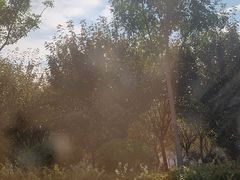 -凤凰欢乐大世界