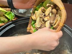 -滇野云南野生菌餐厅(陕西南路店)