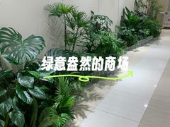 -坂田天虹