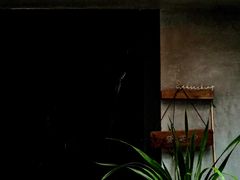 -SeekSeeking咖啡专门店(堰塘街店)