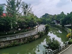 -桂湖森林公园