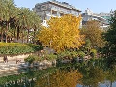 -桂林两江四湖景区