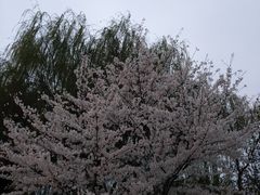 -浙大城市学院第二食堂