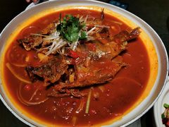 -鸽子侯·家宴·平价海鲜(市图书馆店)