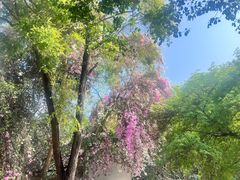 -深圳国际园林花卉博览园