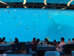 -瑞德姆美人鱼海底演艺主题餐厅(亚龙湾店)