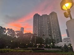 -九龙公园