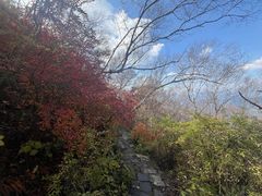 -野三坡百草畔景区