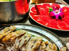 -禄婶鸡煲·打边炉